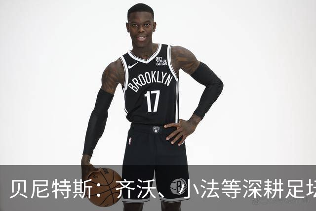 贝尼特斯：齐沃、小法等深耕足坛的人，就是意甲球队最可靠的底气